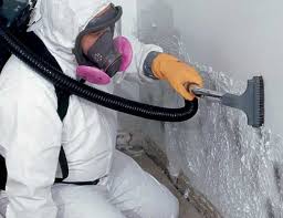 Biohazard Mold Removal in Lovington, NM